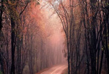 华体会体育-球星豪情万丈，火爆比赛在即