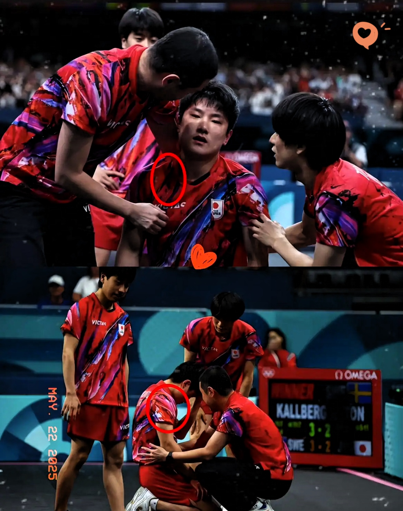 包含比利时乒乓球队险胜德国乒乓球队，张本智和送出助攻的词条